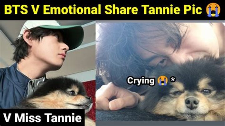 BTS’s V Squeezes His Dog Tannie’s Face In Pics Too Cute For Words – Hollywood Life